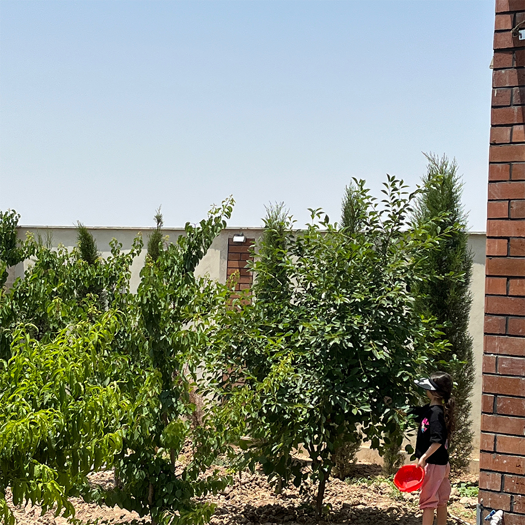 اجاره و فروش ویلا استخردار تهران و کرج